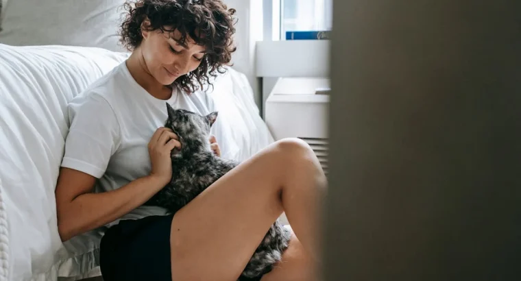 Loyal Labrador Retriever Puppies for Sale Ideal Family Pets